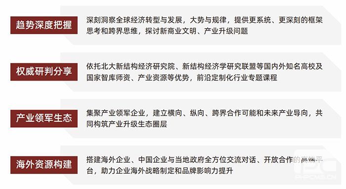 北大全球化项目特色
